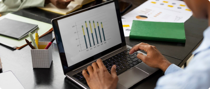 Data Maturity Assessment & Gap Analysis